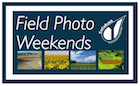 Field Photo Weekends